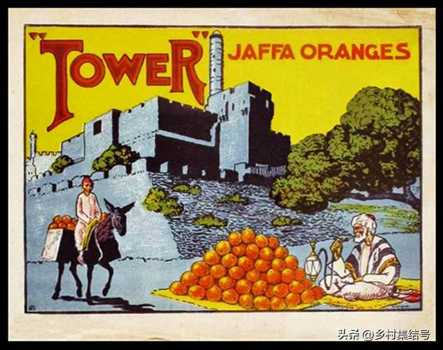 以色列雅法橙在全球市场为何如此备受欢迎?成功奥秘和启示