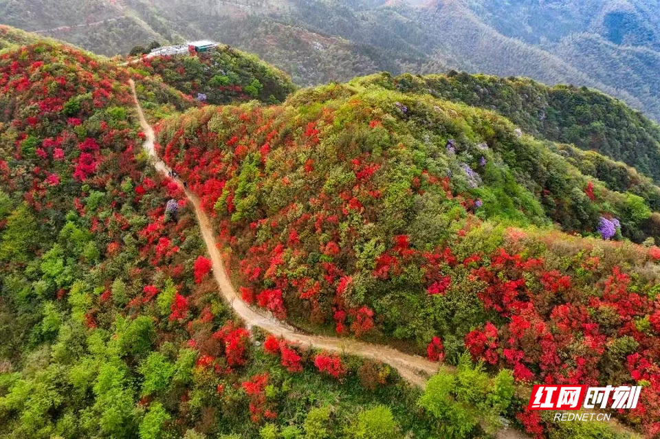 常宁塔山风景区自驾游图片