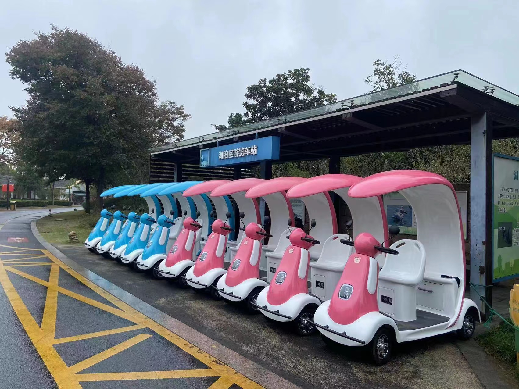 傲虎观光电动车