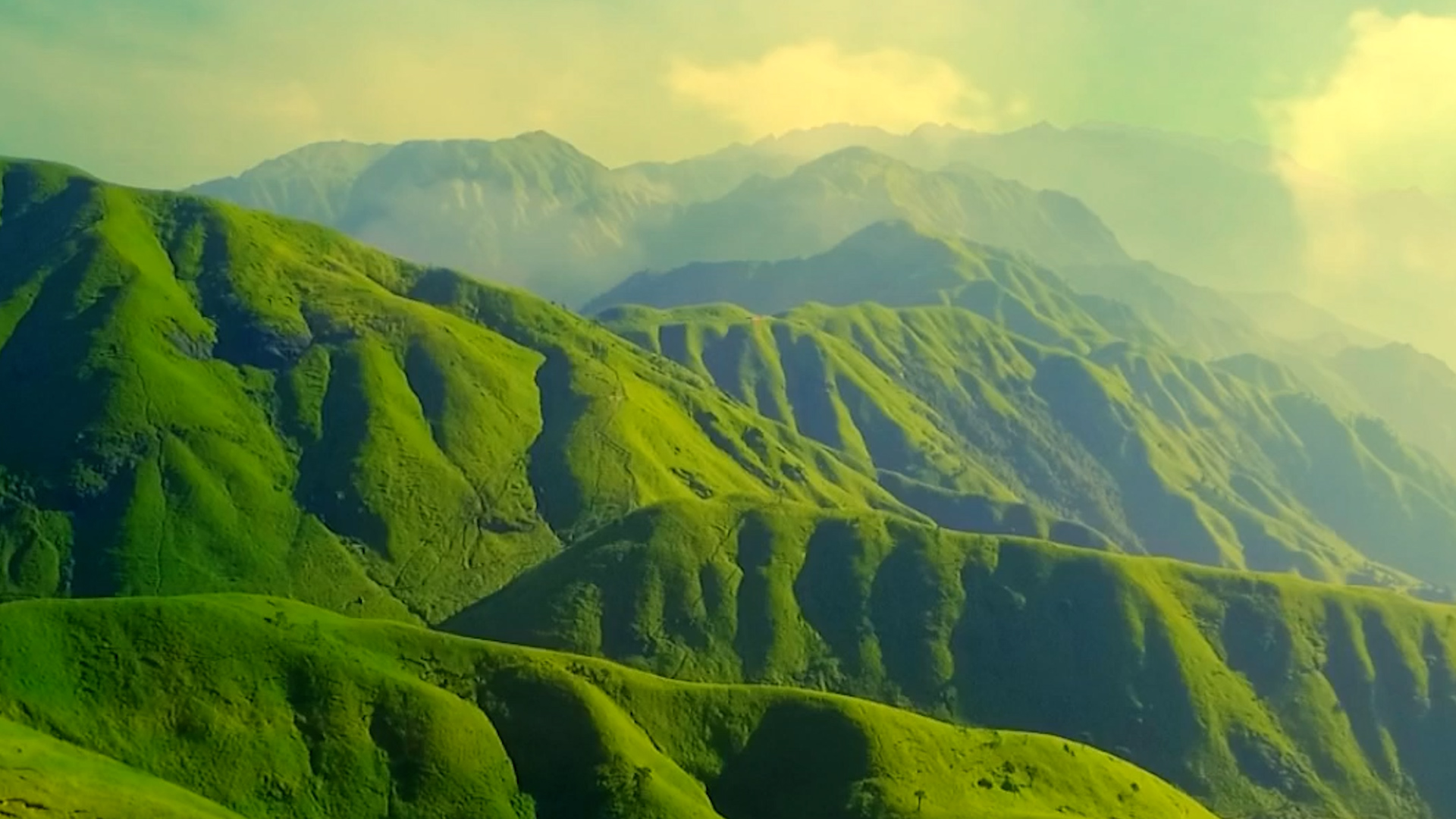 乡村新引力丨年轻人趋之若鹜的"世外高山"