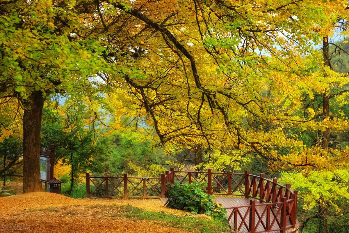读诗词游中国——古诗词中各大城市的秋日风景(四)