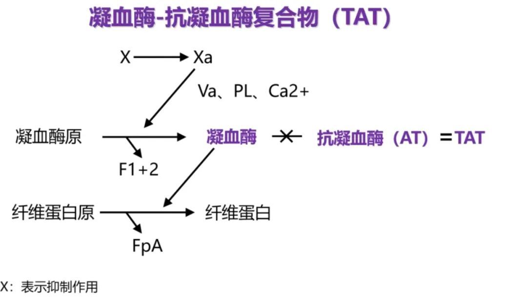 【科学前沿】"栓"前预警——如何捕捉身体里的"隐形杀手"?