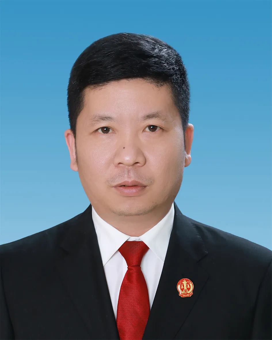 【世界环境日】非法占用林地  日子有"判头"!