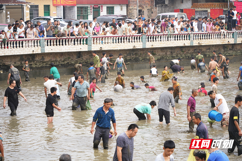 宜章县黄沙镇大元村:中秋佳节"鱼"你狂欢