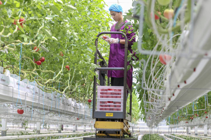 南太湖观察丨农村"数字双胞胎",长什么样?