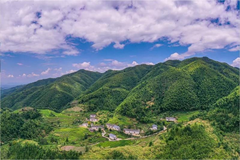 崇义县13个行政村荣获"江西省森林乡村"称号