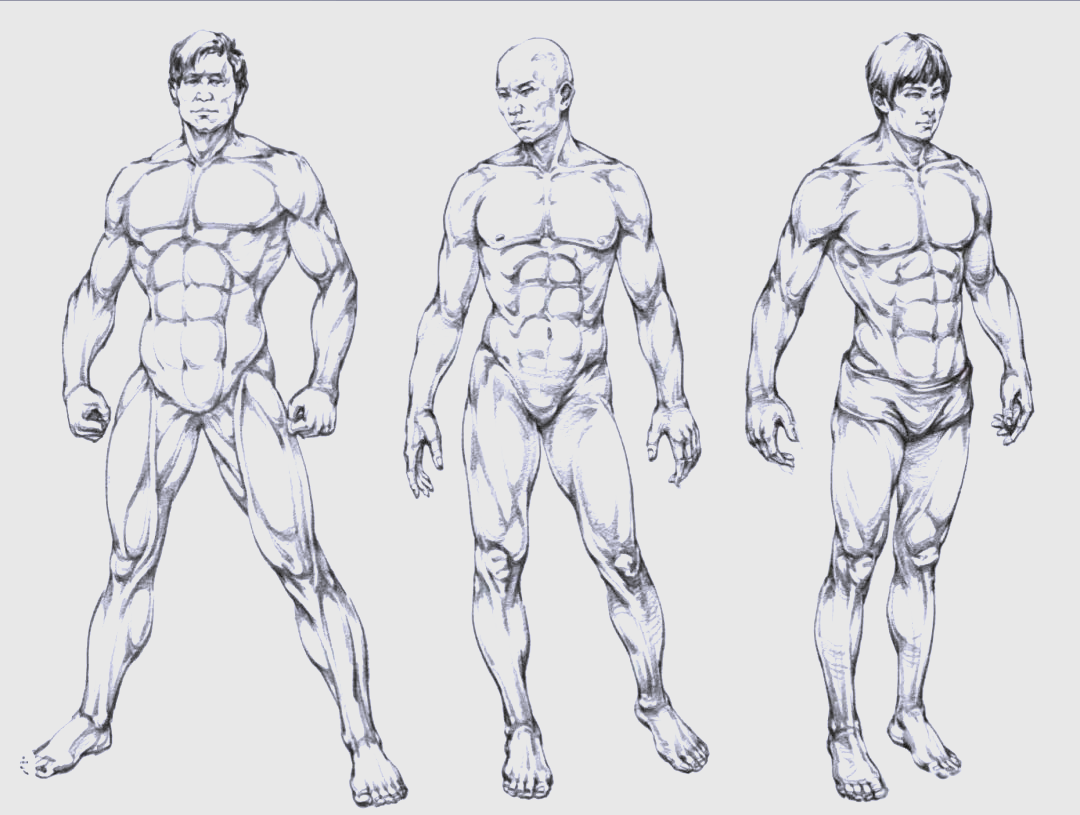 从几何体看人体结构,如何精准速写