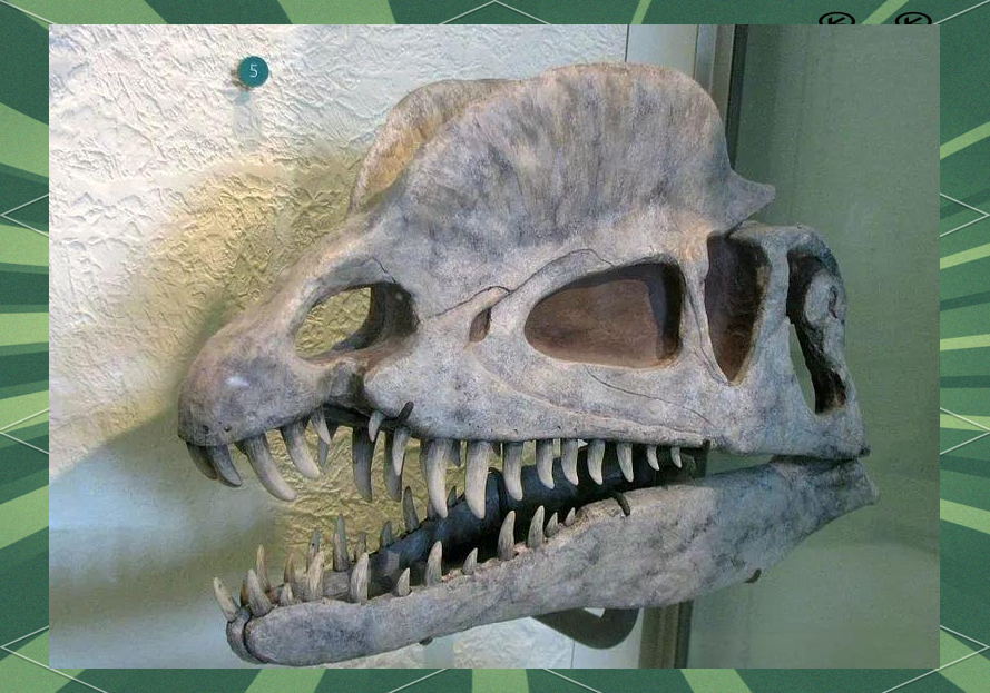 探索恐龙世界:双脊龙的多样特征与文化影响