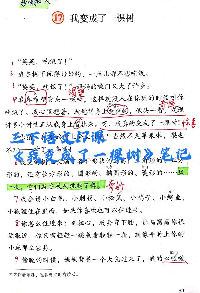 三下语文17课《我变成了一棵树》笔记