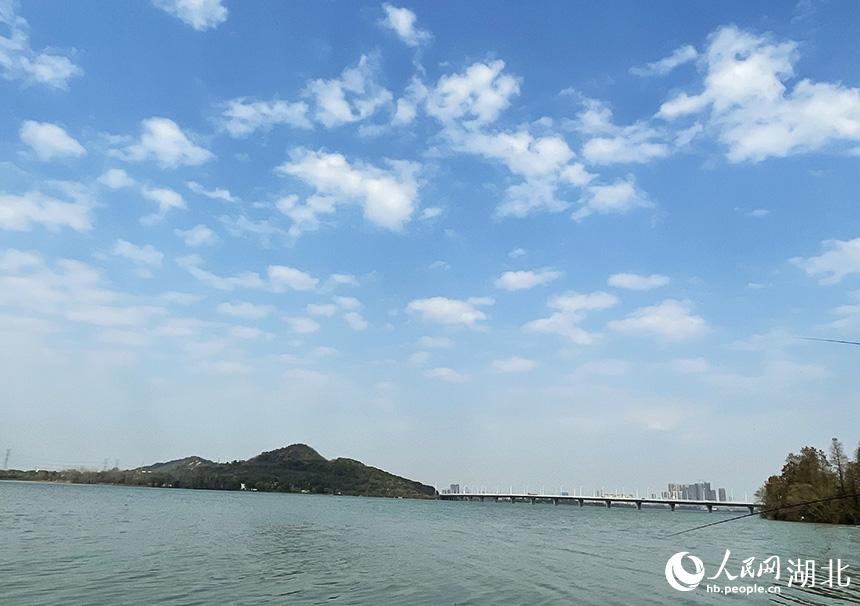武汉严西湖图片