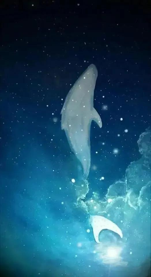 大鱼鲸鱼系列壁纸~一鲸落万物生,一念成山川,一念成江海