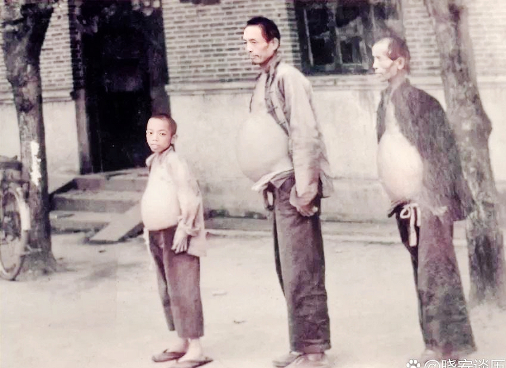 据1951年全国血吸虫病调查,江,浙两省以湖北三省血吸虫病最为严重