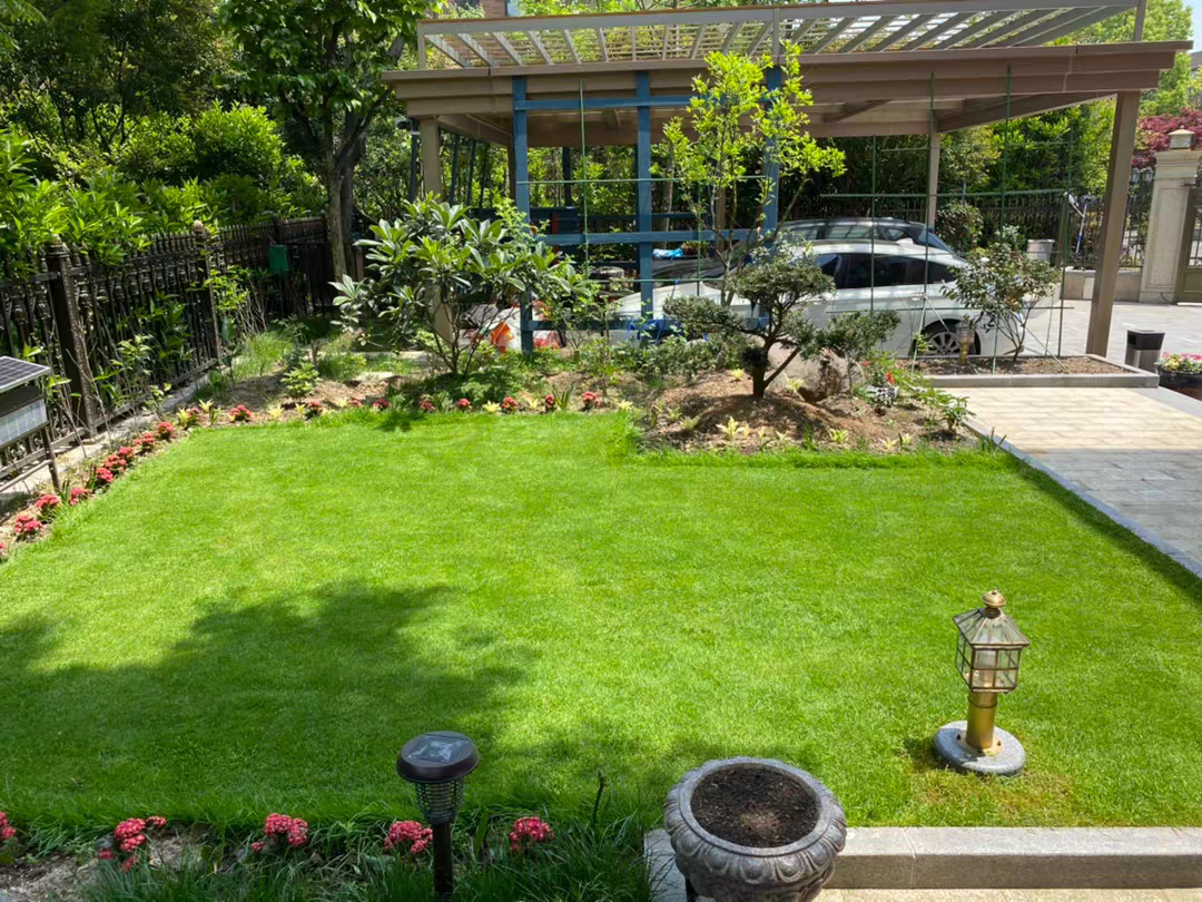 庭院草坪花园