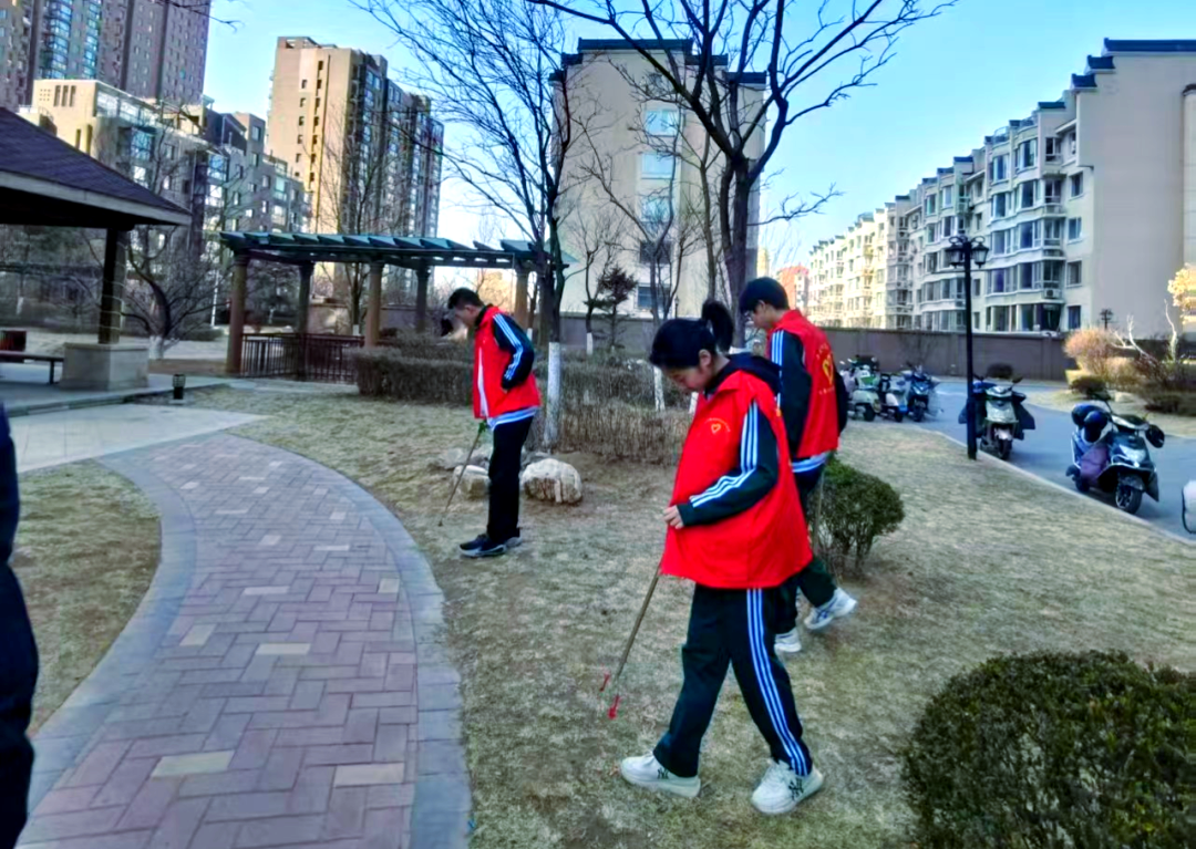 高中生寒假社会实践的多元探索与深刻启发