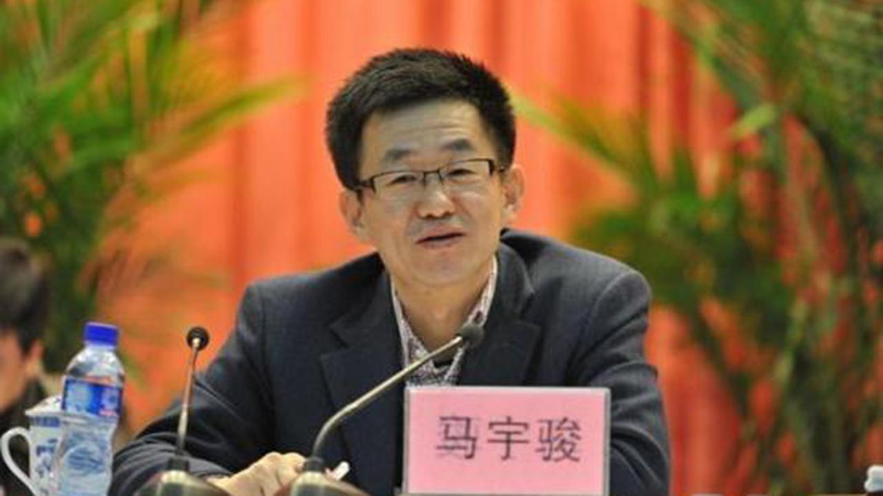 马宇骏任石家庄市代理市长