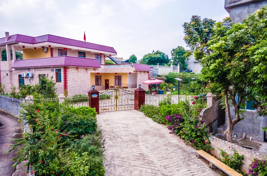 容县自良镇龙镇村走出乡村振兴新路子