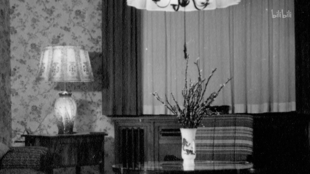 人皮灯罩 baijiahao.baidu.com