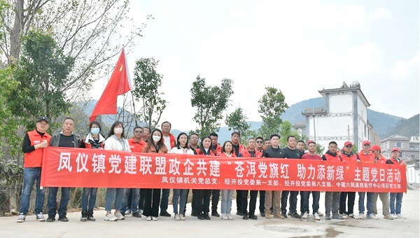 "苍洱党旗红 助力添新绿"主题党日活动