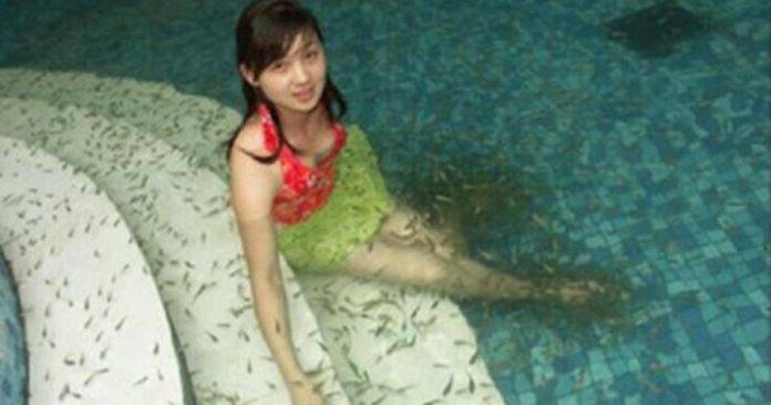女子去国外享受鱼疗,刚泡一会鱼就死光了,赔偿商家上万元