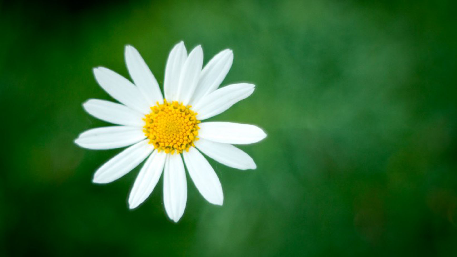 2023至2025学年昭平县第五中学食堂食品原材料集中采购及配送