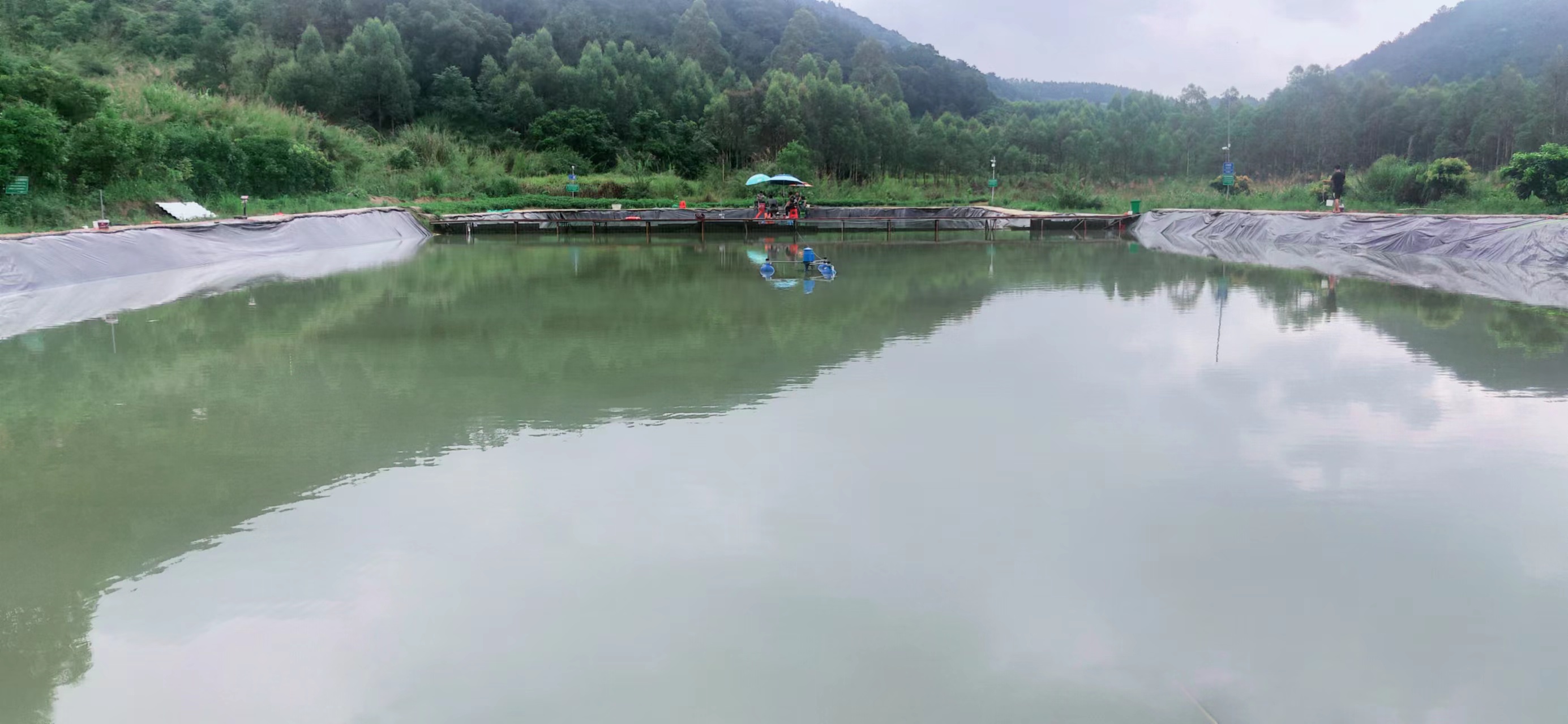 沙溪生态园——宋坑垂钓园开业,附近区域多个钓鱼的好去处