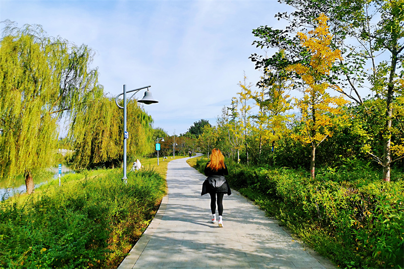 濟南平陰‖初秋,玫瑰湖溼地公園中藏著別樣的美