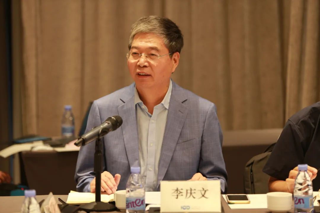 李庆文:电动化领先者之忧及对策|汽车评价