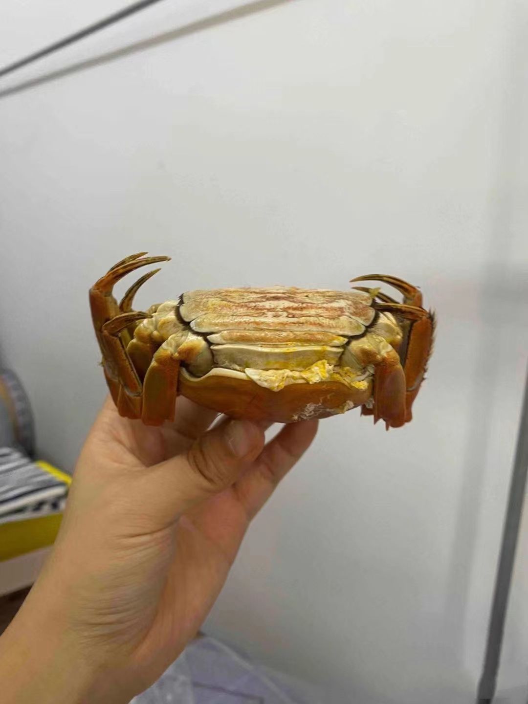 阳澄湖吃蟹的地方去阳澄湖哪里吃大闸蟹阳澄湖农家乐哪家好