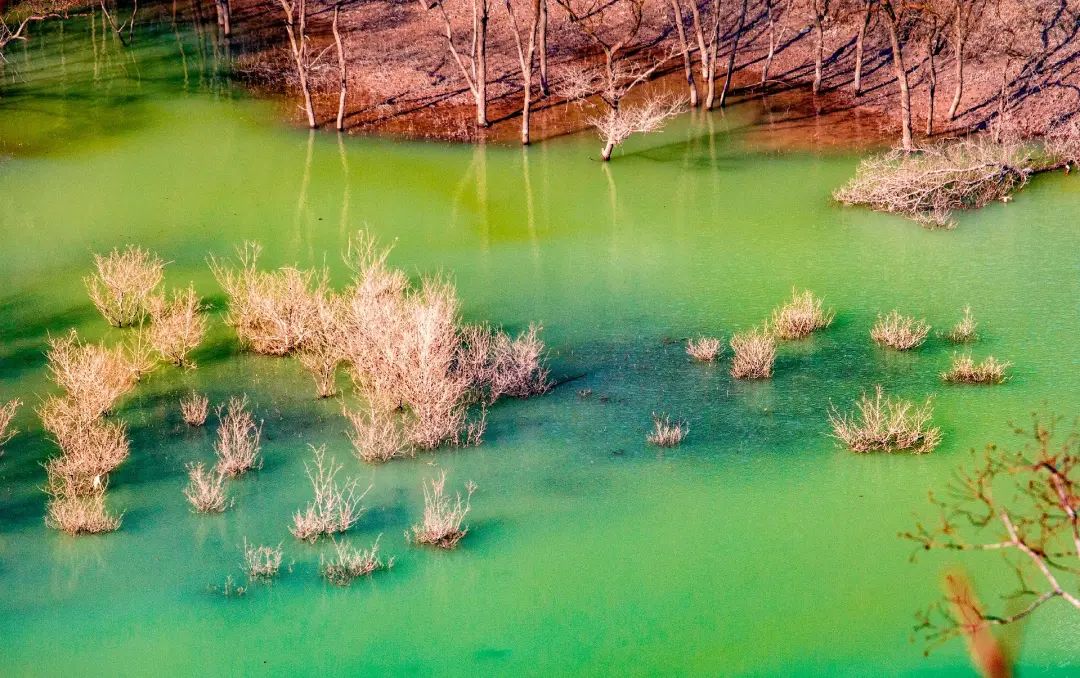路客|湖北利川:郁江奇景 水上秋林