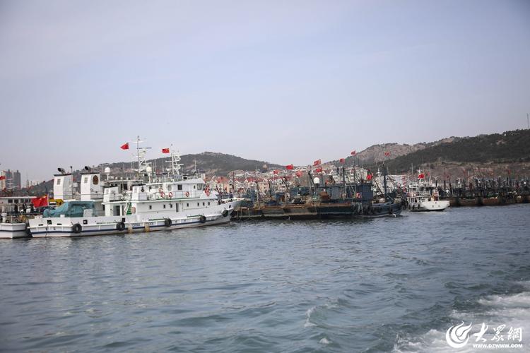 青岛西海岸新区伏季休渔执法行动启动仪式在积米崖渔港举行