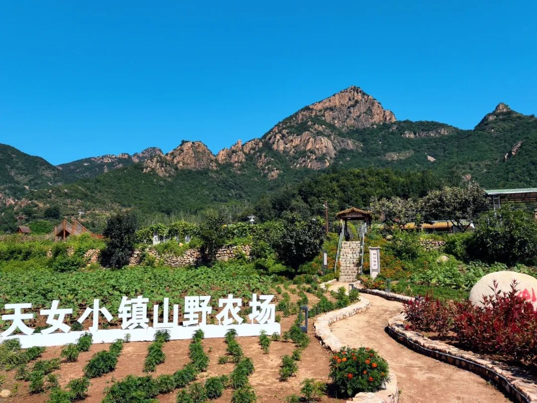 海港区天女小镇山野农场.jpg