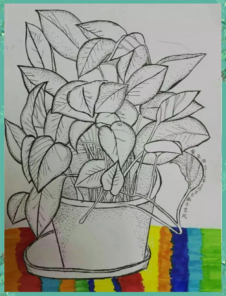 艺风课堂中的植物盆栽写生