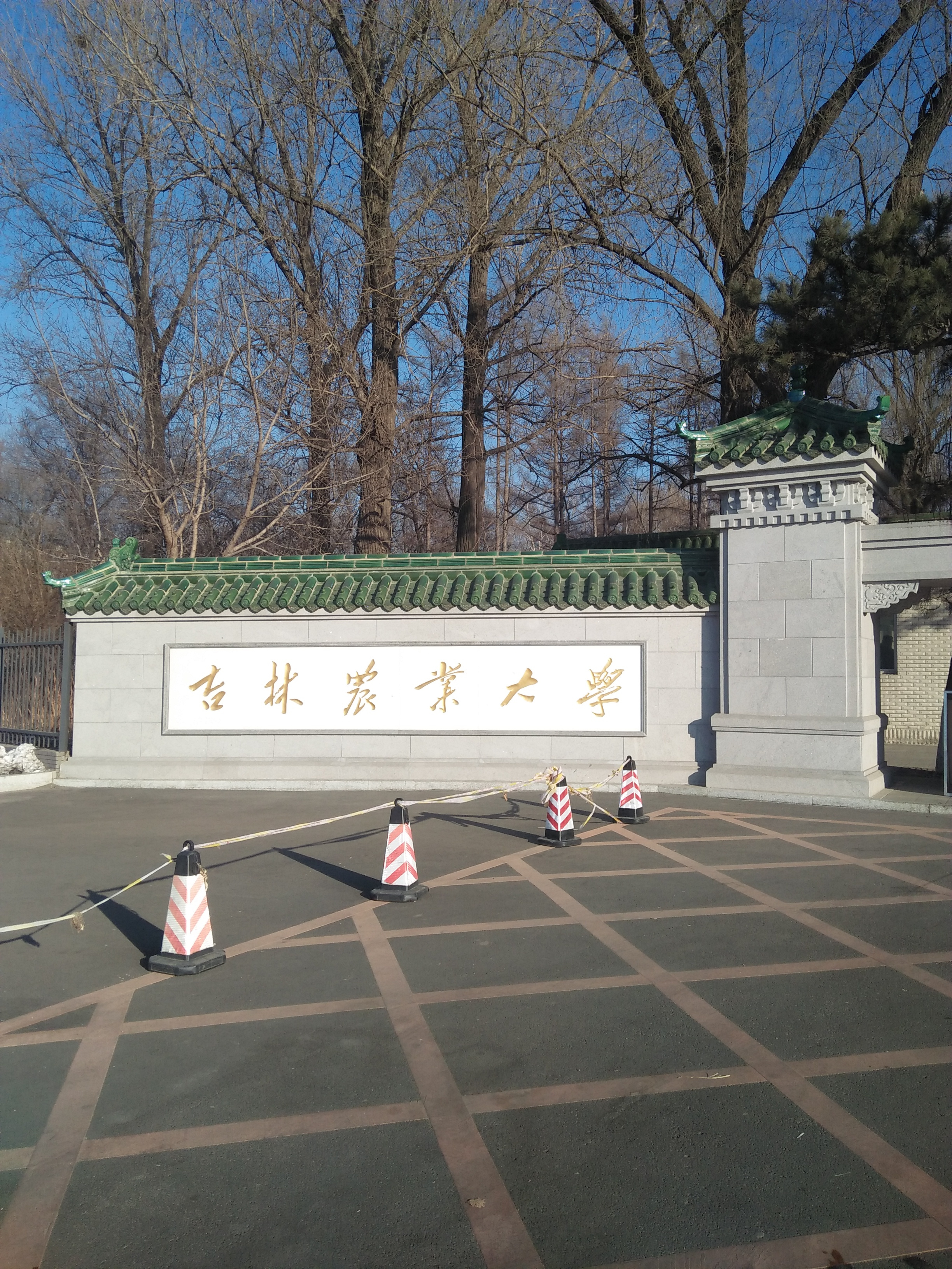 吉林农业大学情杀图片