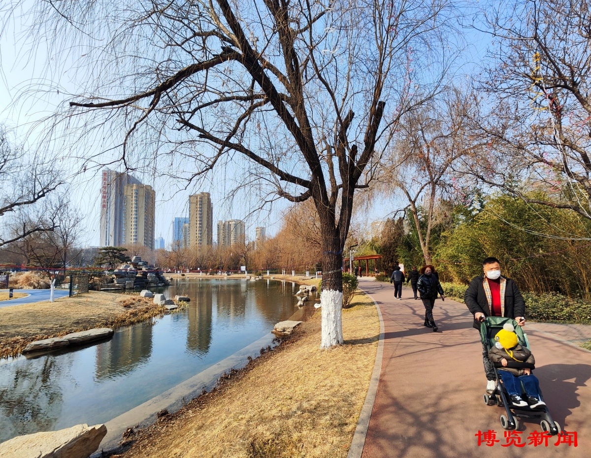 淄博市張店蓮池公園芙蓉湖畔春意萌發