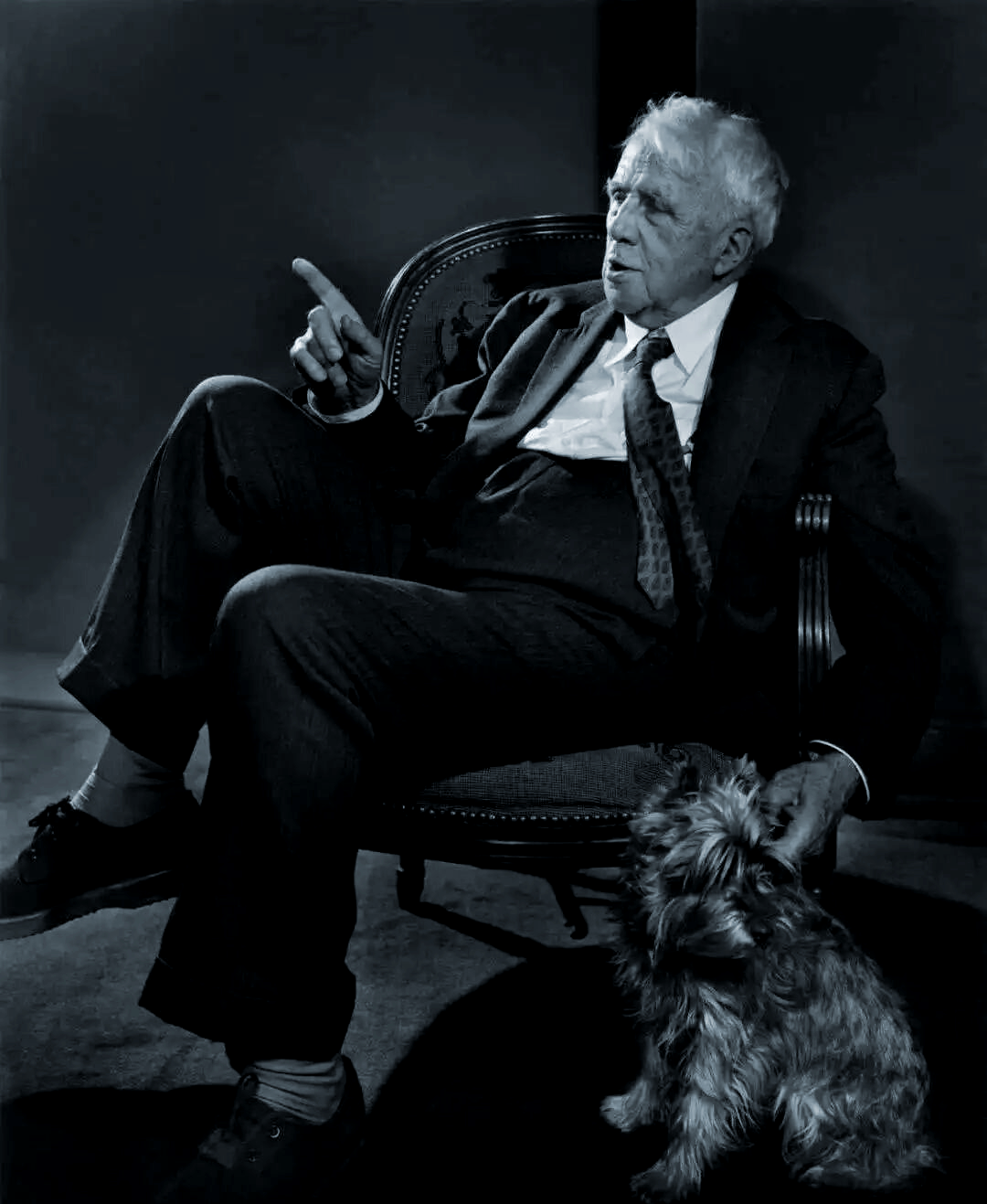 玛丽·奥利弗的诗意人生探索与诗歌创作的艺术魅力