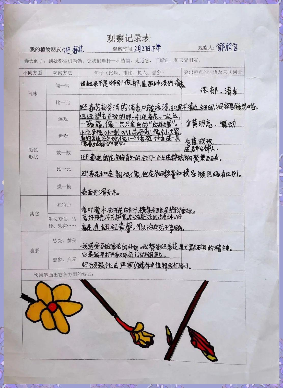 宝小弘毅班植物观察记录表分享