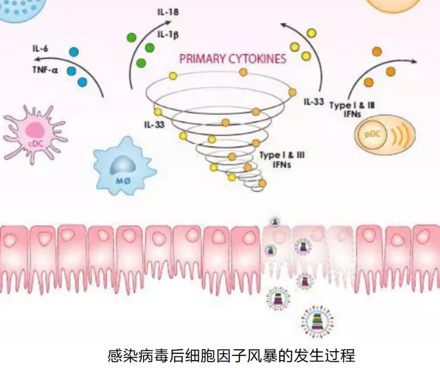 癌因性疲乏的机制和临床影响