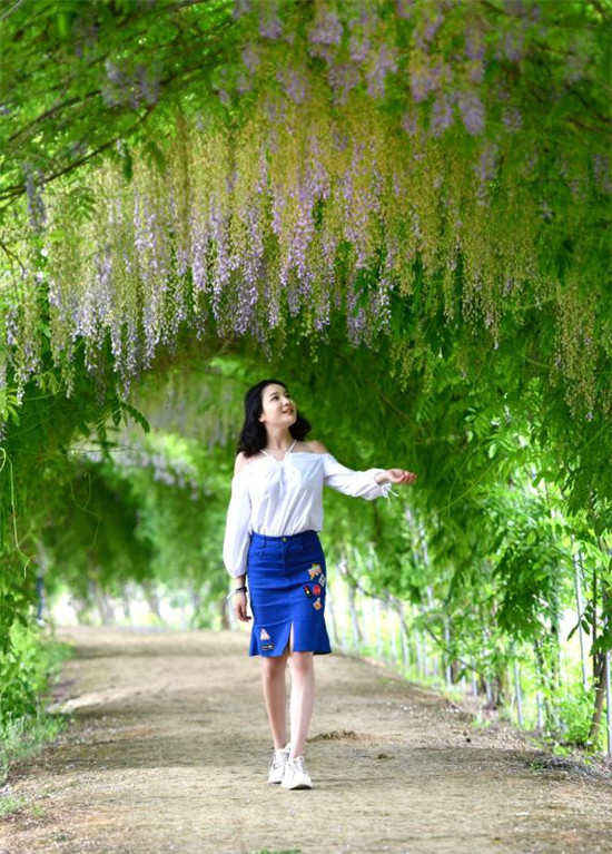 紫藤花下拍照,穿什么衣服最好看呢?
