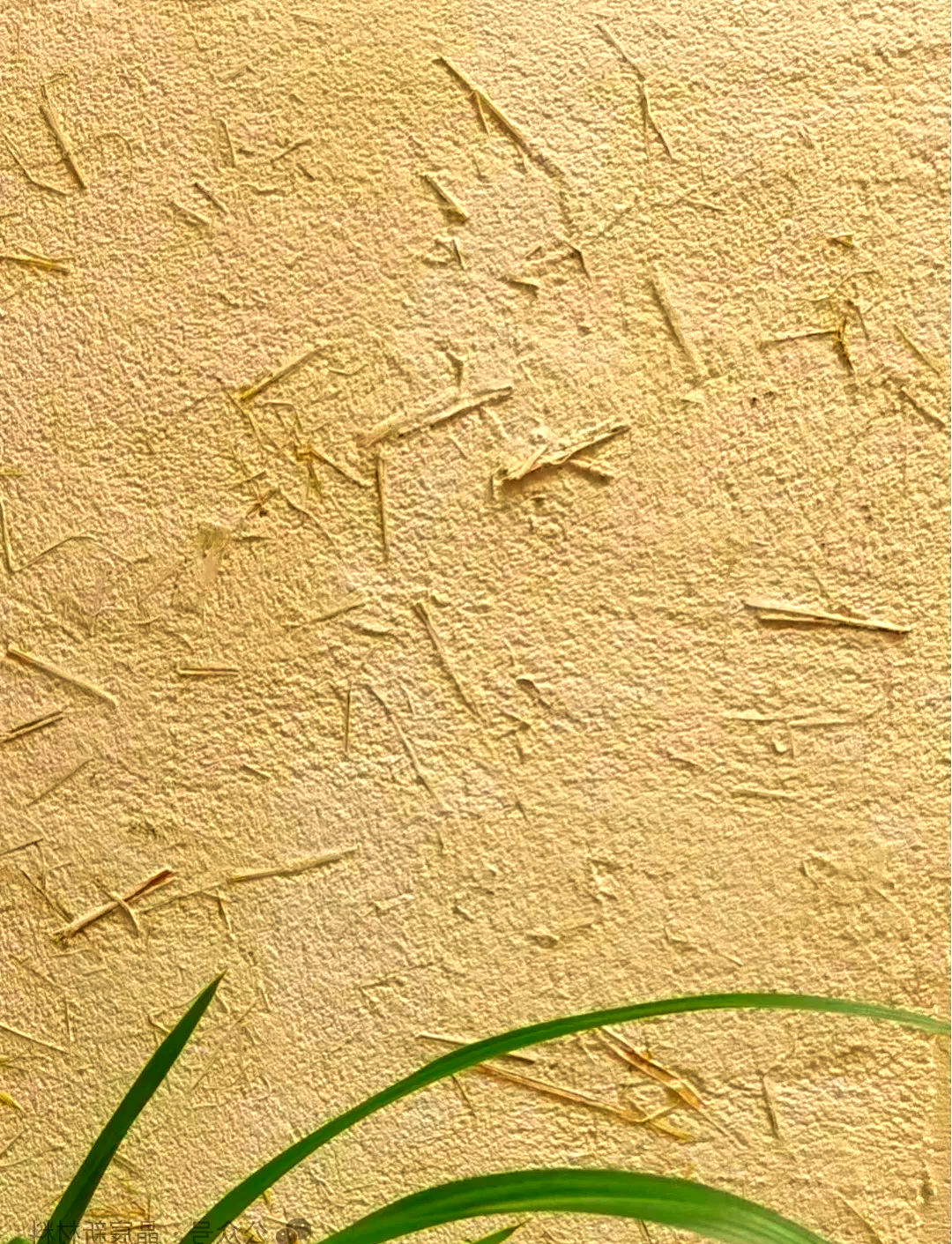 稻草漆:探寻心中的田园生活与独特空间美学