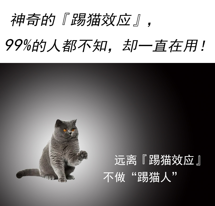 心理学 远离「踢猫效应」