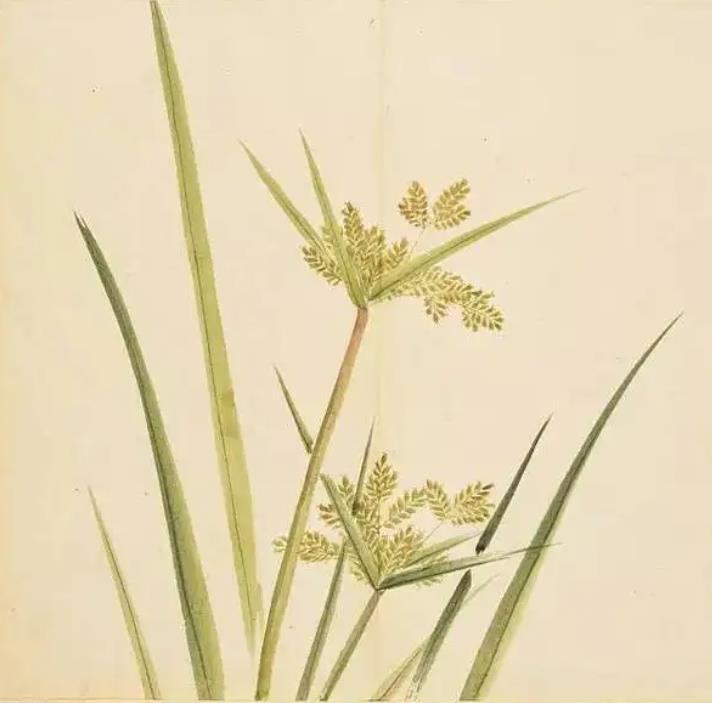 盘点《山海经》中的10个好名字,温柔雅静,非常适合女生!