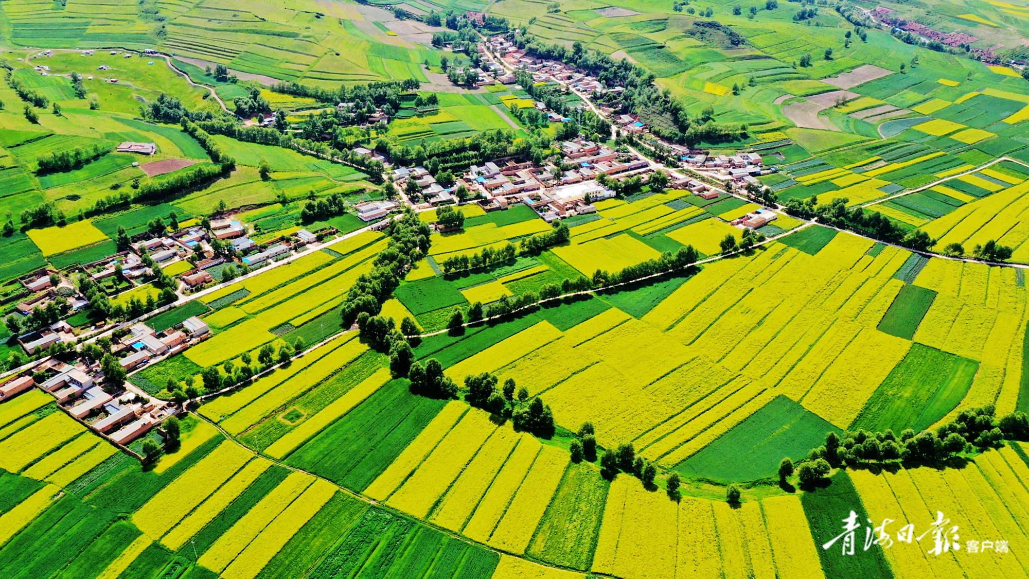 湟中区擦亮绿水青山生态环保新底色