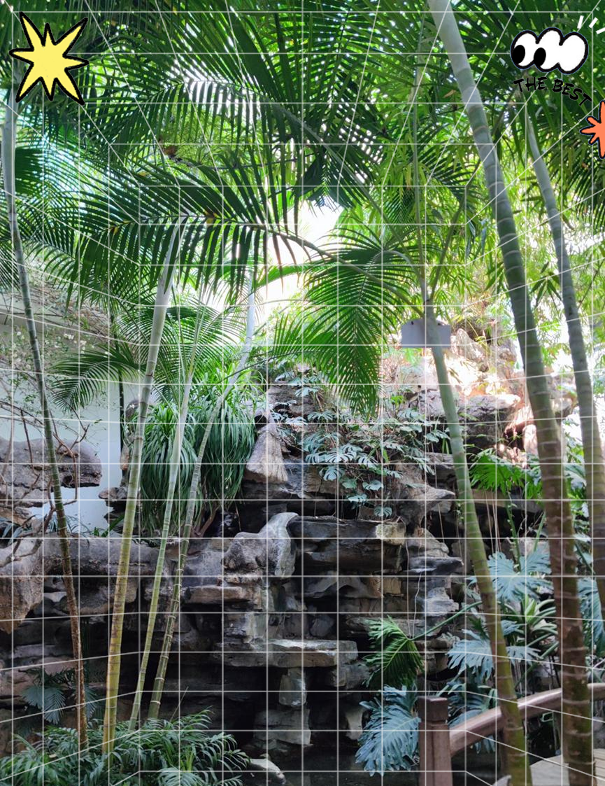 济南森林公园探秘:领略绿海秘境与多彩文化