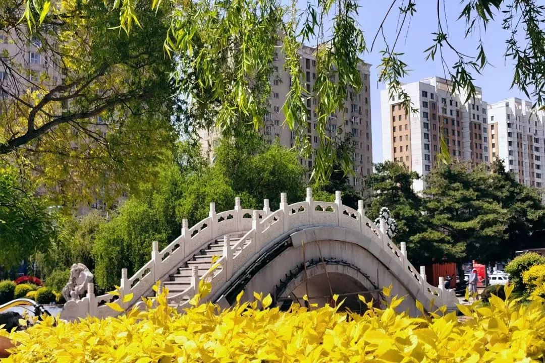 營口鮁魚圈:初夏青龍山