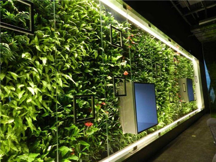 疫情期间办公室更需要植物墙来装饰