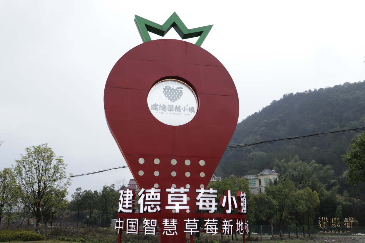 莓农世家,建德草莓狂飙