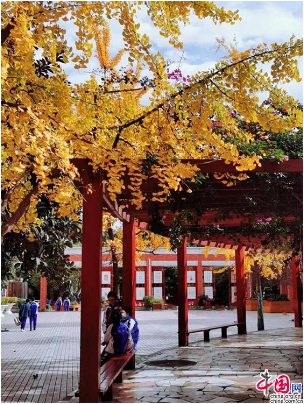 成都石室双楠实验学校遇见学子眼中的秋天!遇见时光诗人!