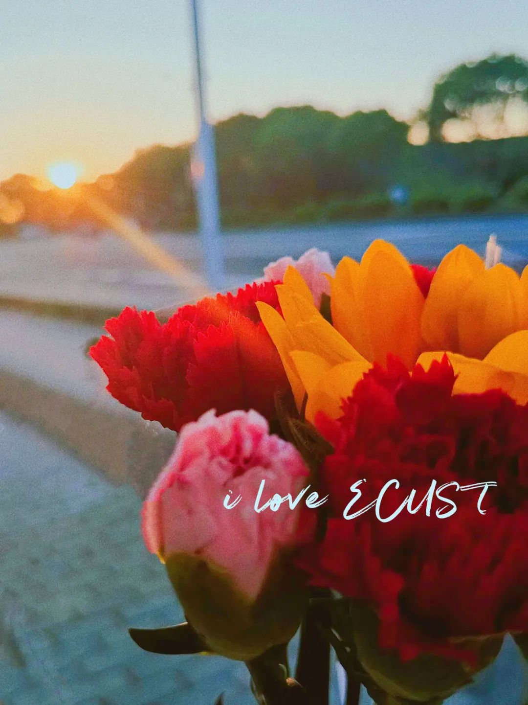 快来,捕捉ecust心动瞬间