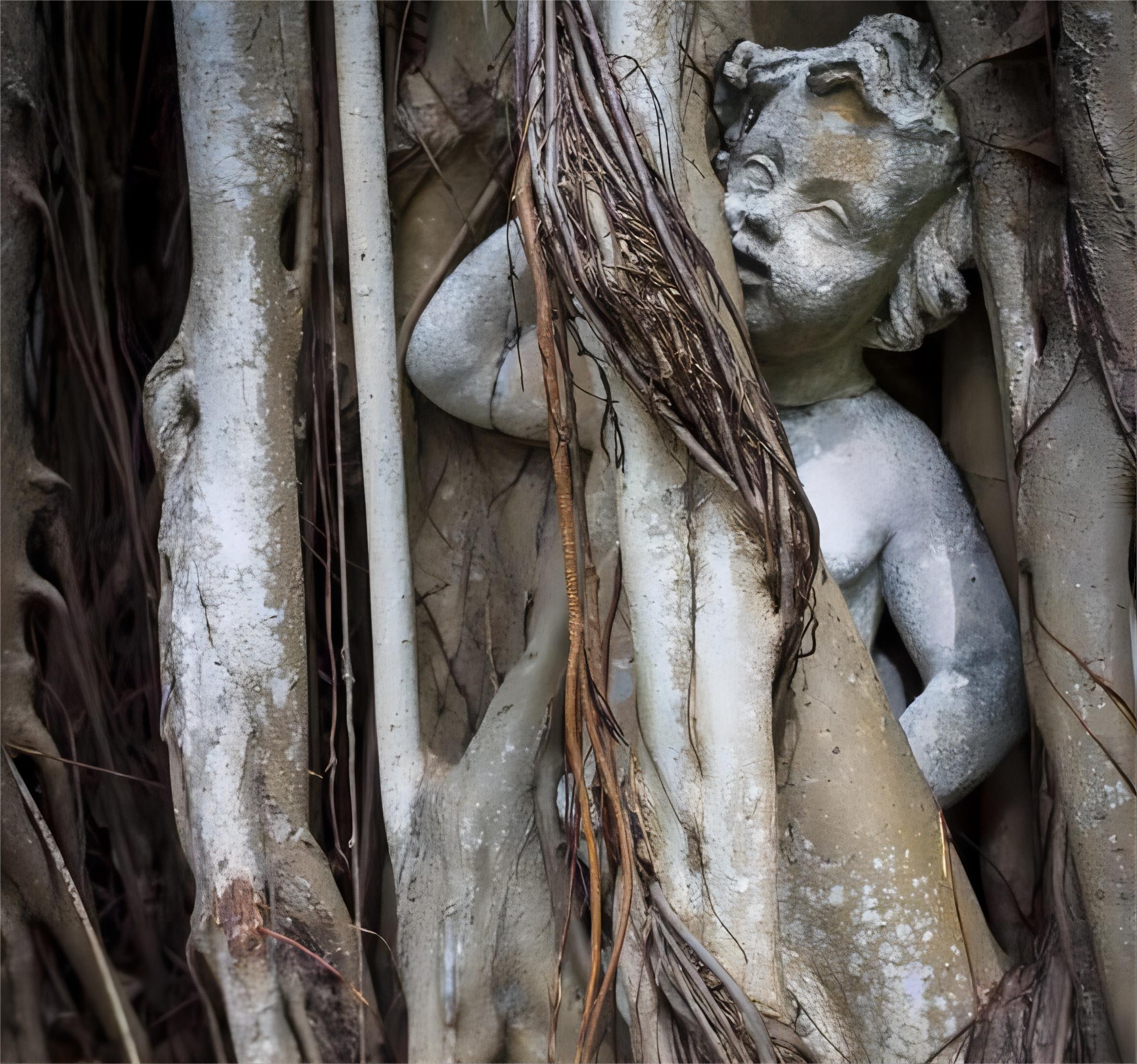 迷雾中的杀人树:真实还是幻想?探寻神秘植物的传说与真相