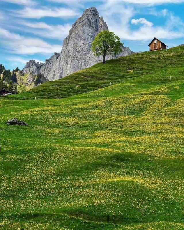 美丽的风景图片